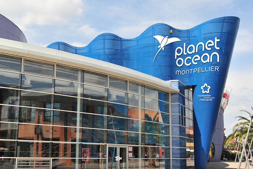 Contact Us Planet Ocean Contact Us Planet Ocean