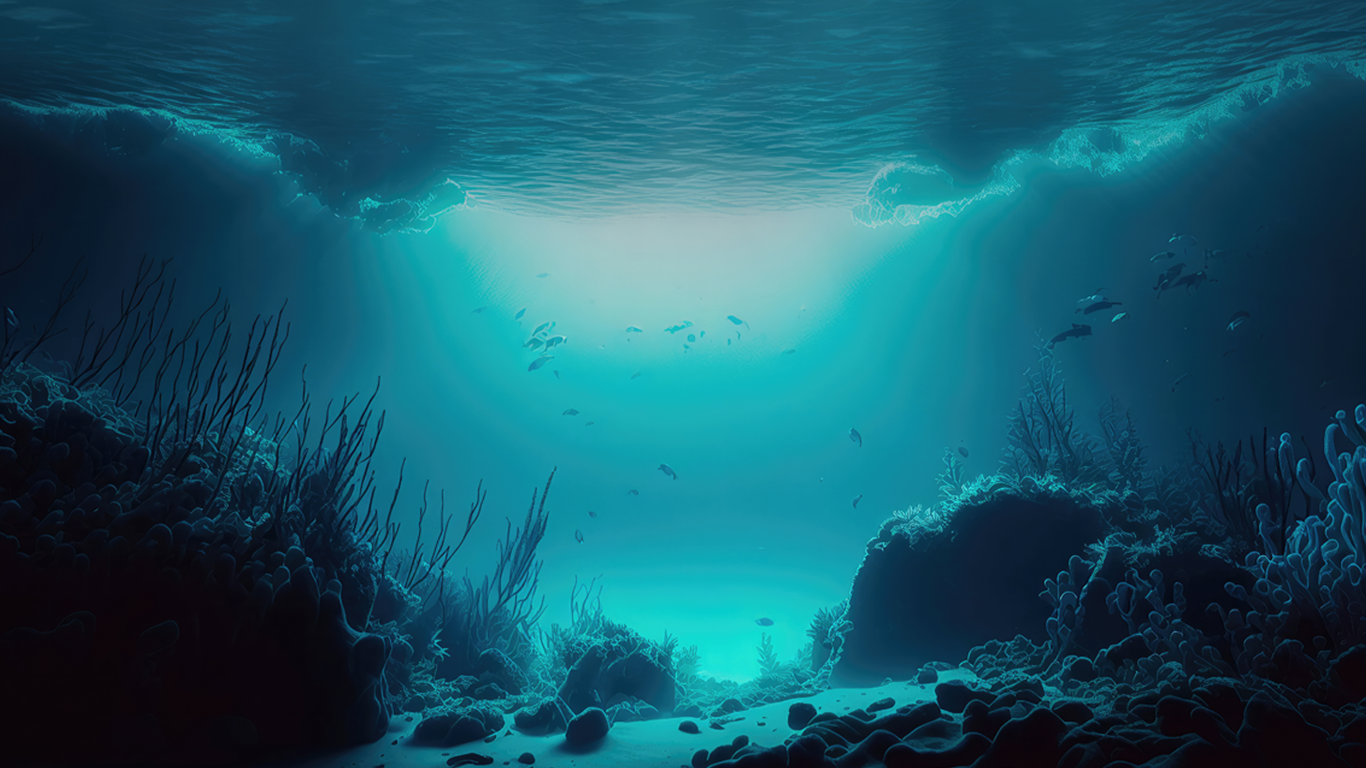 Journée Mondiale de l'Océan Ocean