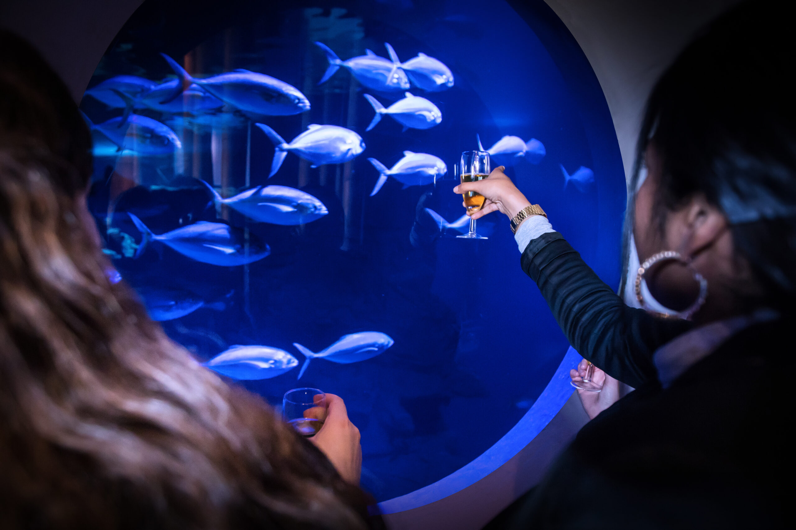 Séminaire à Planet Ocean